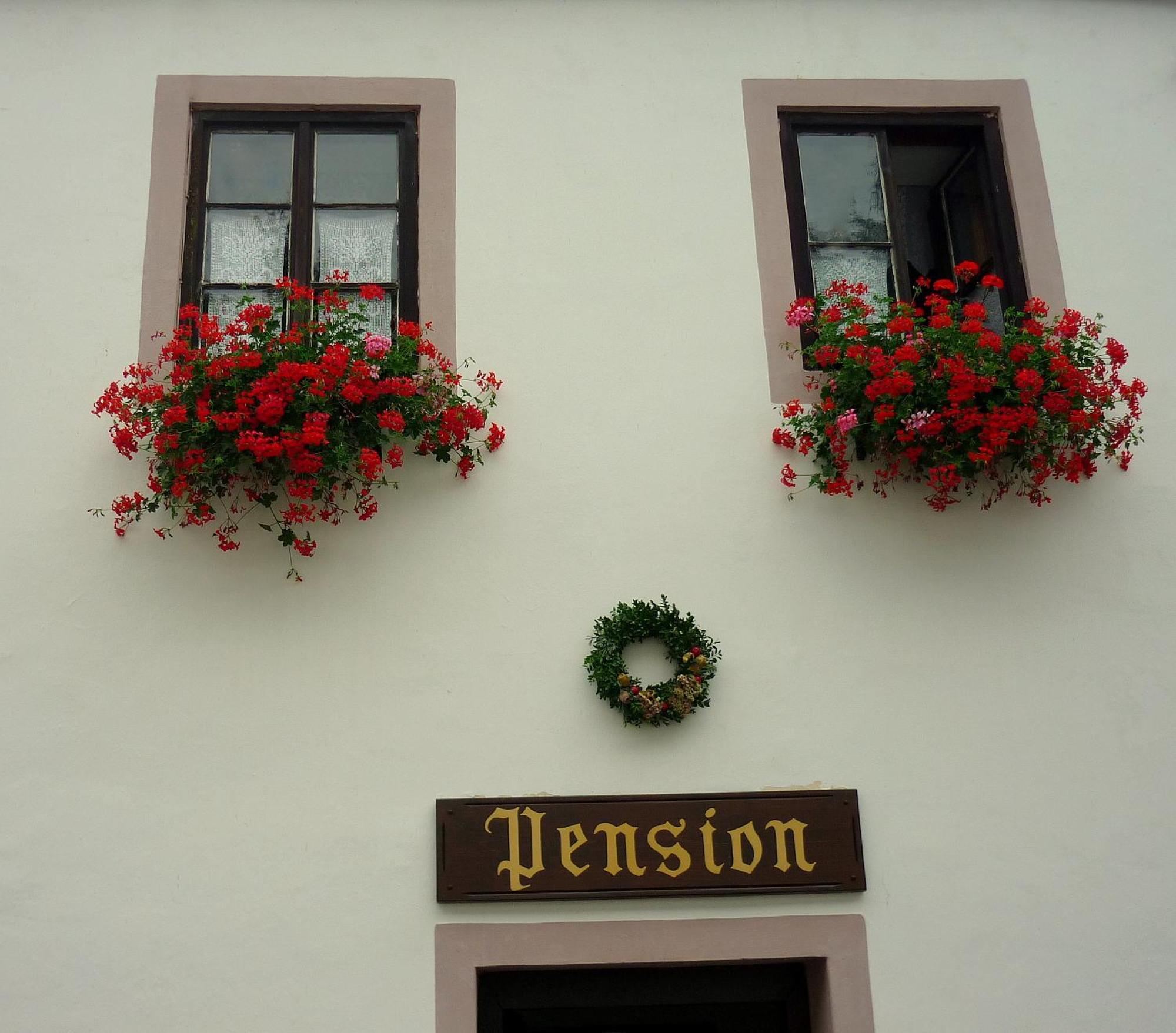 Pension Plesivecka 119 Český Krumlov Kültér fotó